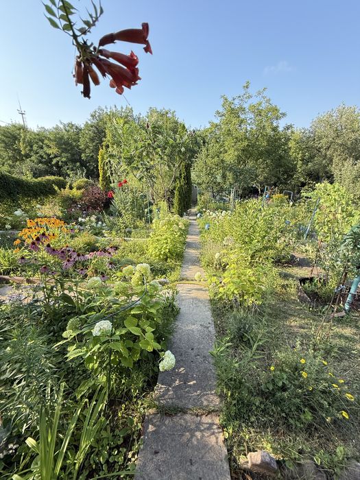 Продам дачу Ледное