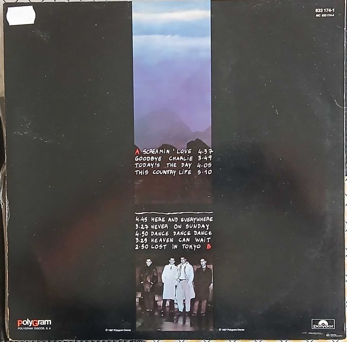Taxi - The Night (LP)