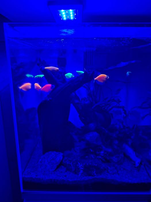 Akwarium 30l + szafka