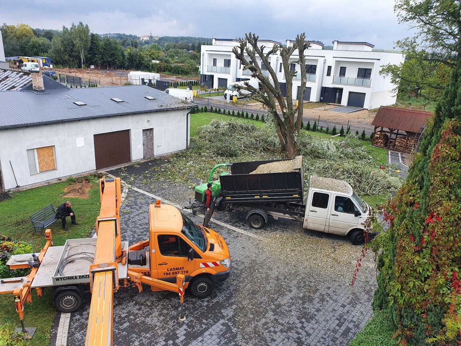 Wycinka drzew,rębak do gałęzi,FREZOWANIE PNI,podnośnik koszowy