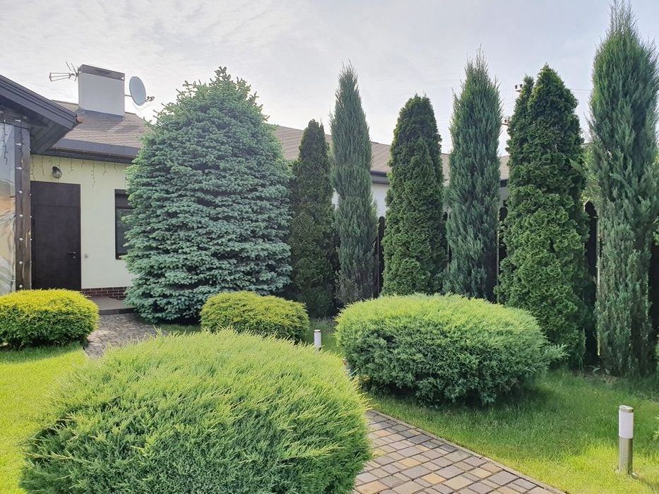 Продам дом с ремонтом Новоалександровка