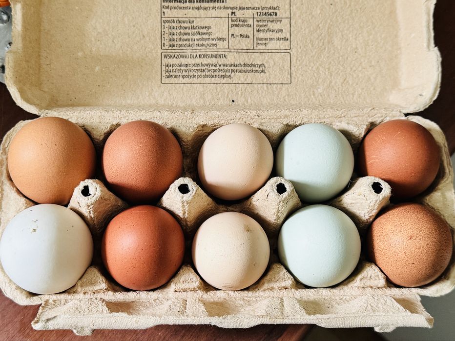 Jajka od wiejskich kur