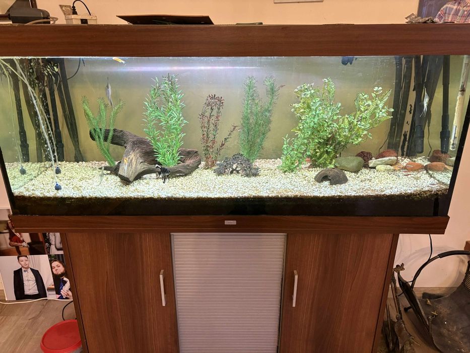 Akwarium z szafką 500l