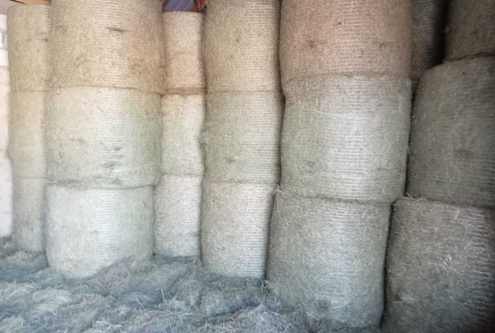 Sprzedam siano zbiór 2025