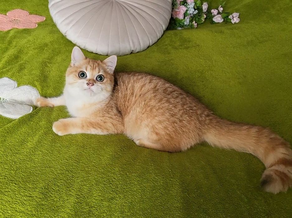 Мальчик -красавчик!