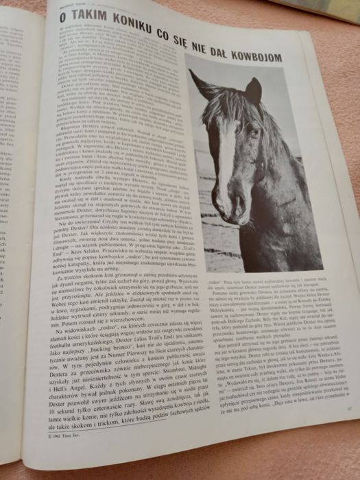 Magazyn Ameryka nr 53