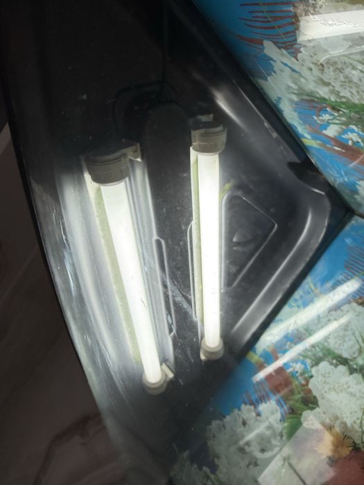 Акваріум для рибок