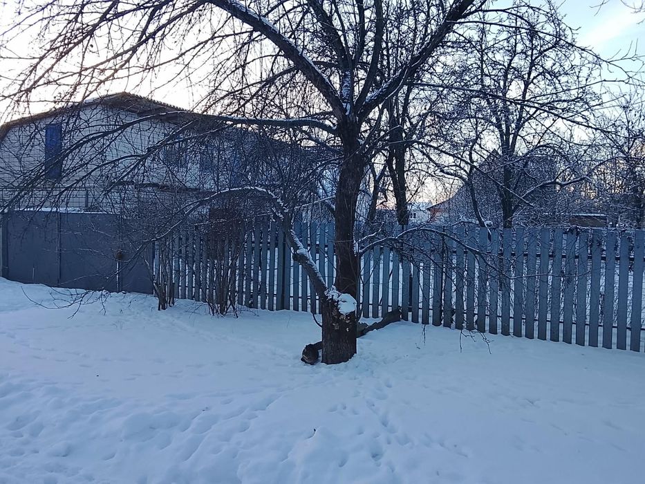 Продам с. Садове