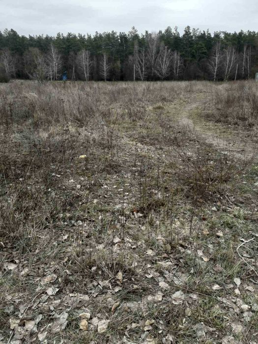 ! Кутовий 12 соток біля лісу з електрикою 5 кВт !!!