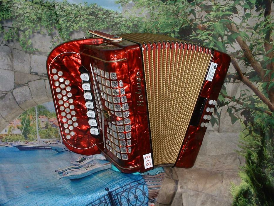 Concertinas a venda N.813