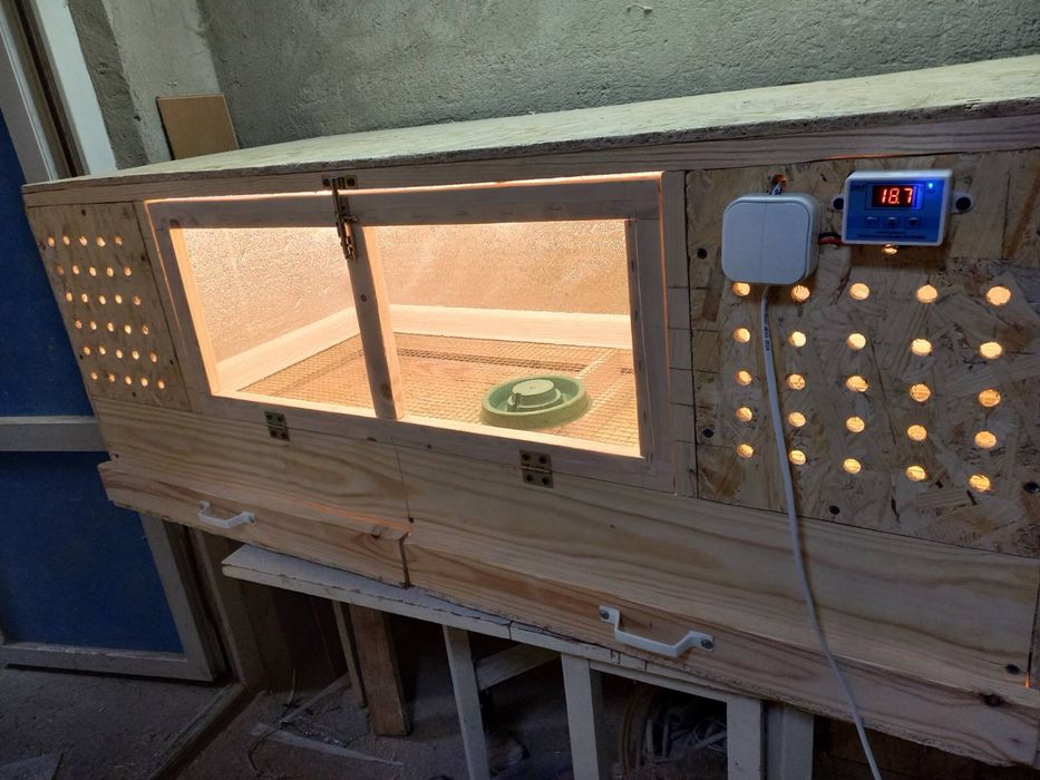 Яслі для птиці(брудер)