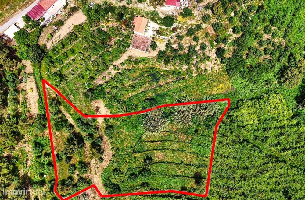 Terreno para agricultura em Alferce - Monchique