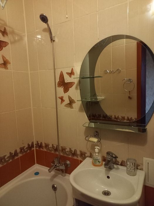 Здається подобово однокімнатна квартира в центрі міста.