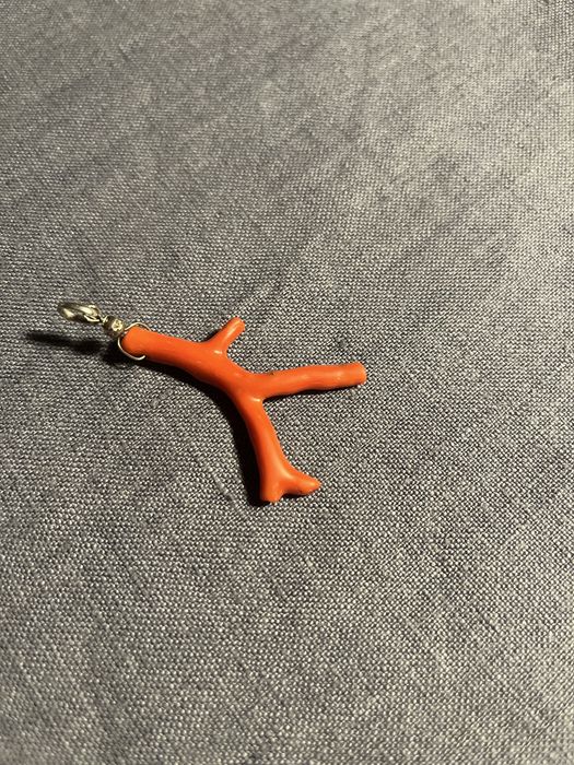 Ramo de coralvermelho
