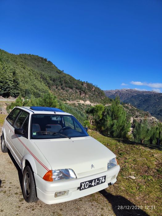 Citroen Ax GT 1991