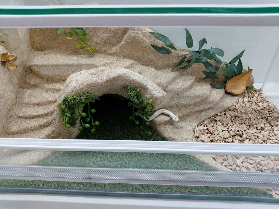 Terrarium dla żółwia stepowego, greckiego, TW22Ż, AquaWaves