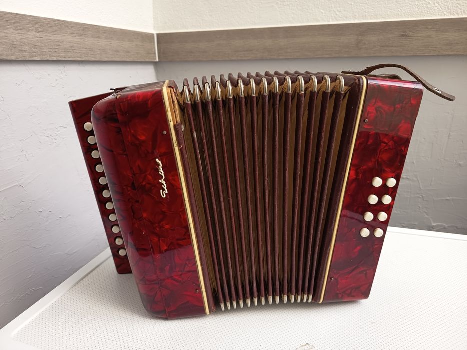 Acordeão Paulo Soprani  + Concertina 8 baixos