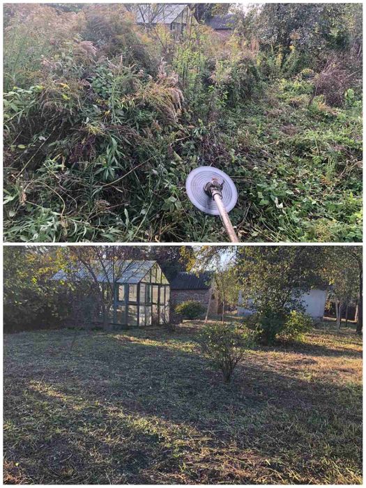 Зрізання, спилювання, валка, обрізка дерев, розчищення ділянок