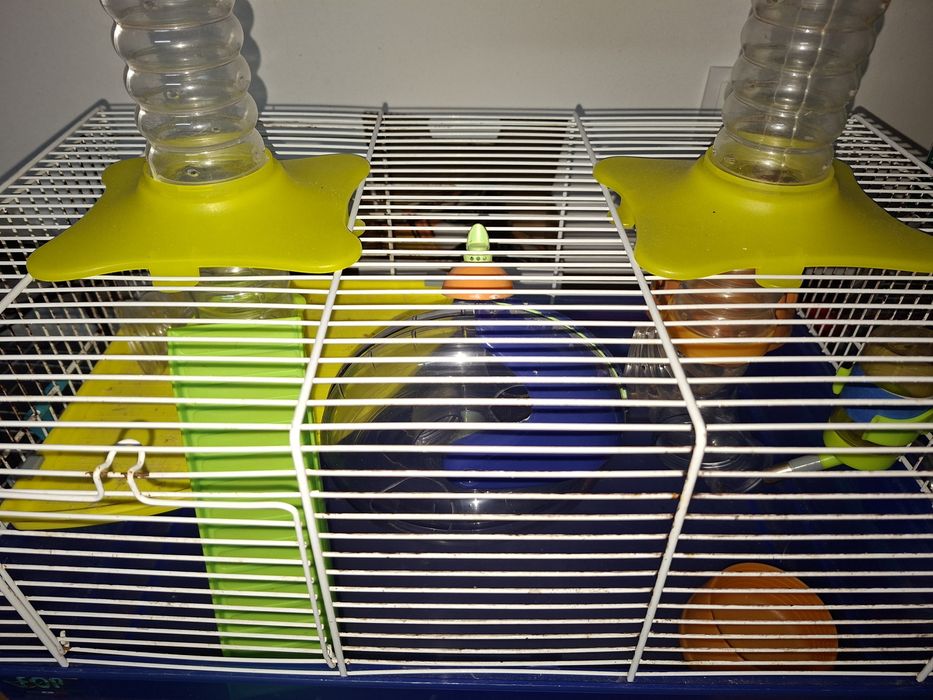 Gaiolas hamsters
