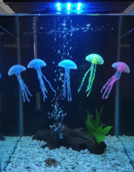 Medusas arteriais para aquário