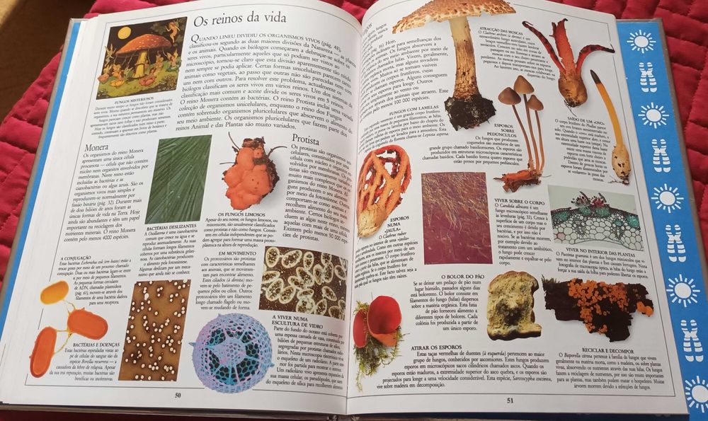 Livro "Vida" - Enciclopédia Visual Ciência