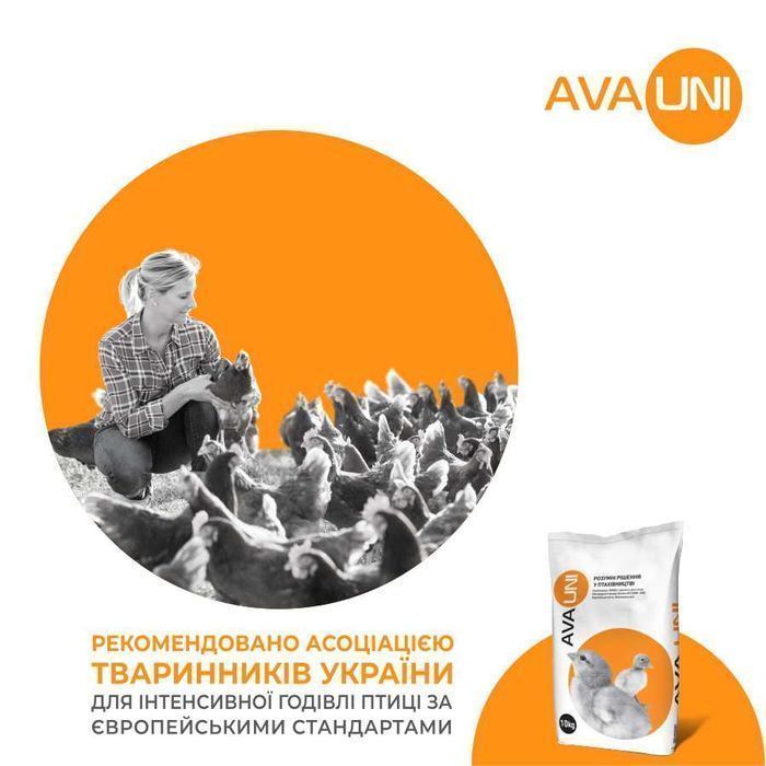 Комбікорм для бройлера на гровері AVA UNI BG