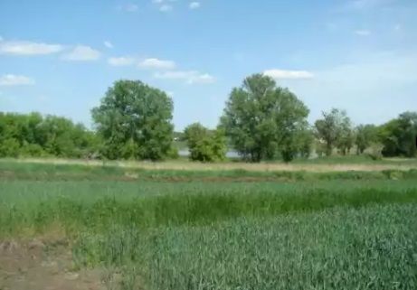 Продам земельный участок в Малой Антоновке.