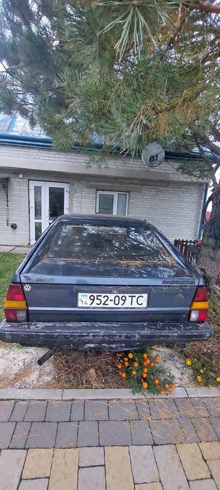 Passat b2 Volkswagen