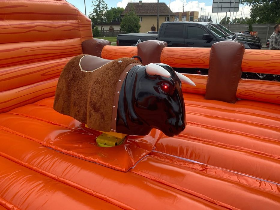 Byk RODEO Wynajem