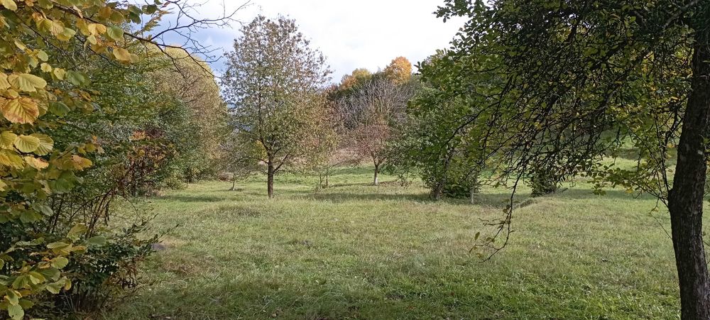 Продаю чудову ділянку у чудовому місці на курорті Поляна
