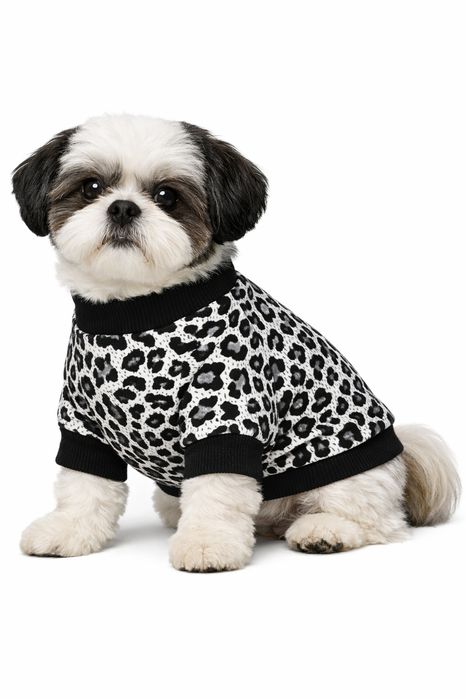 Bluzy dla psów Pomeranian Chihuahua Shih tzu Maltańczyk York