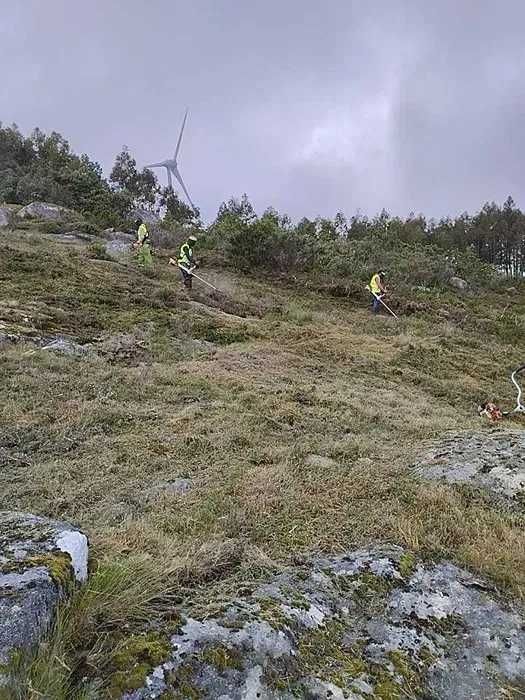 Limpeza de Terrenos e Corte de Mato com Roçadora – Óbidos e Região