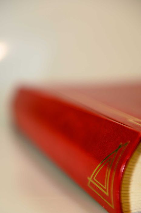 Lote de 9 Álbuns de Fotografia