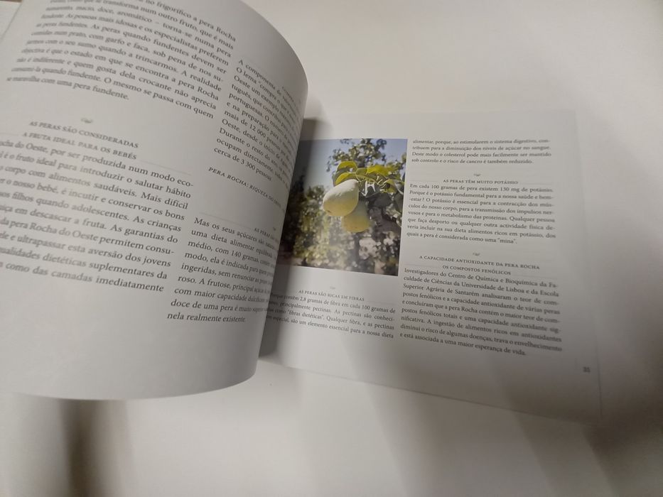 Pêra Rocha do Oeste: Estates and Production64285465923201123