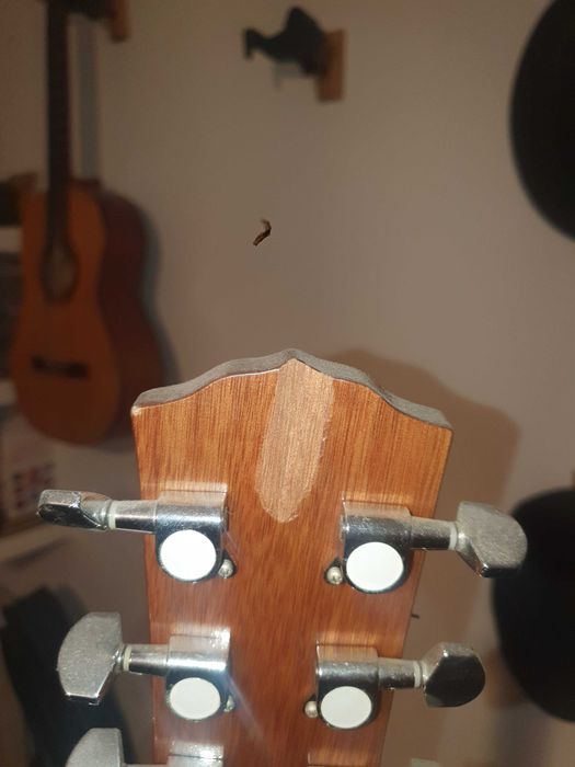 Guitarra C60 Nat Fender