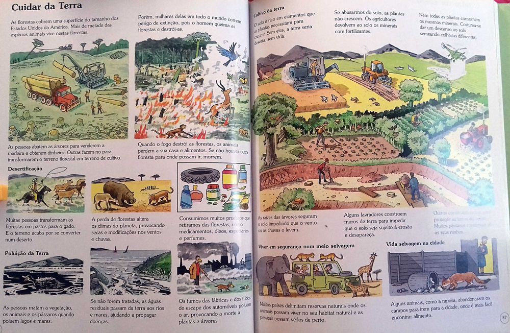 Elliot e King. A Minha Primeira Enciclopedia, Ilustr Inclui porte