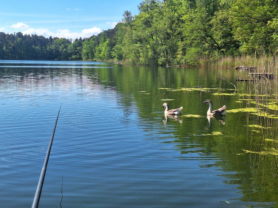Domek Wolne Terminy Wędkowanie Agroturystyka