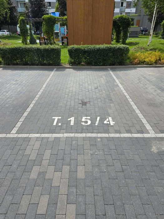 Zdjęcie 8