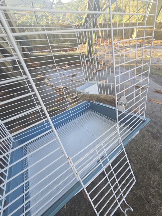 Gaiola papagaio ou caturras