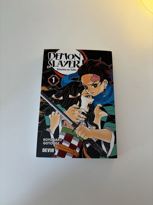 Mangá demon slayer vol.1