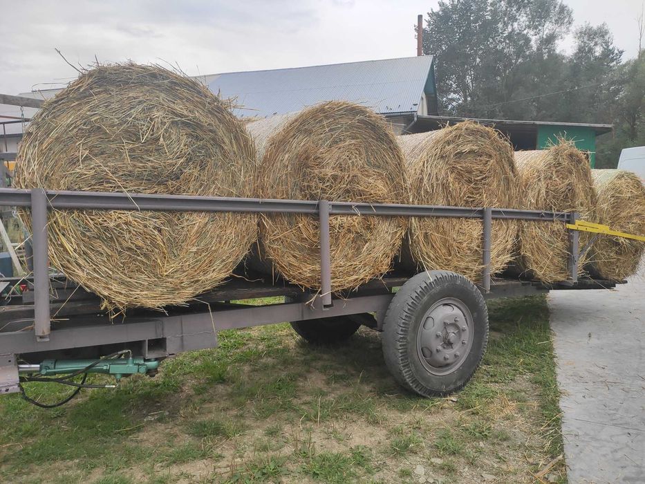 Siano Słoma  siano  bale  baloty i kostki ostatnie sztuki słomy balach