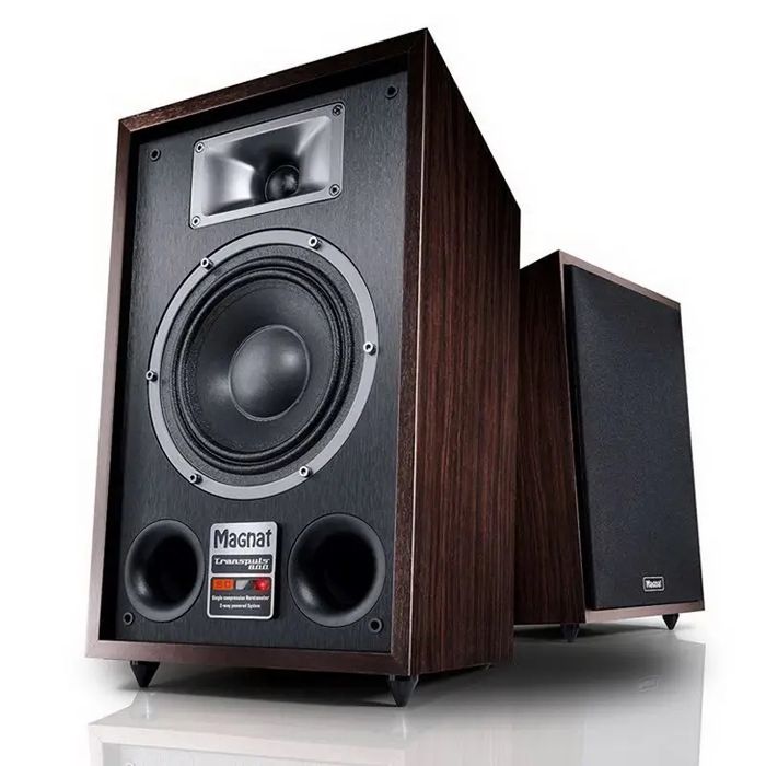 Активная акустика Magnat Transpuls 800a
