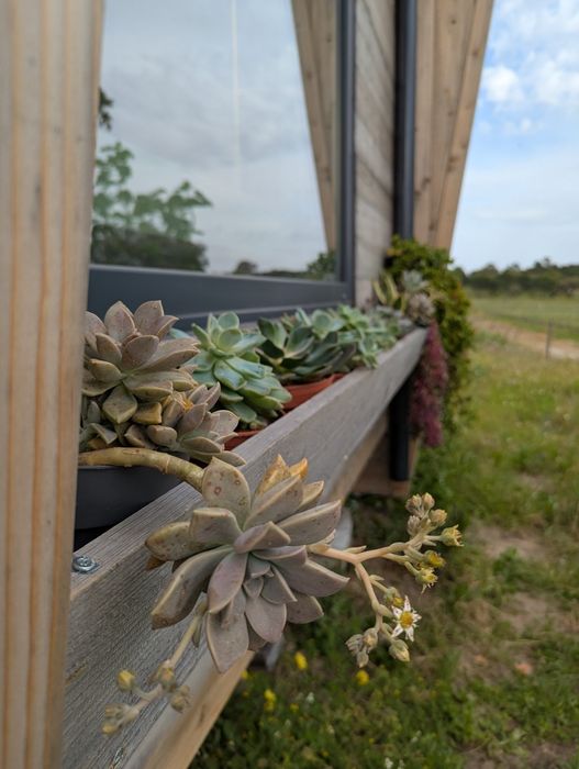 Casa movable, tiny house, casa madeira
