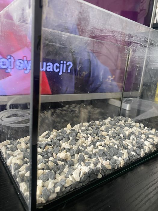 Sprzedam małe akwarium z Pompka