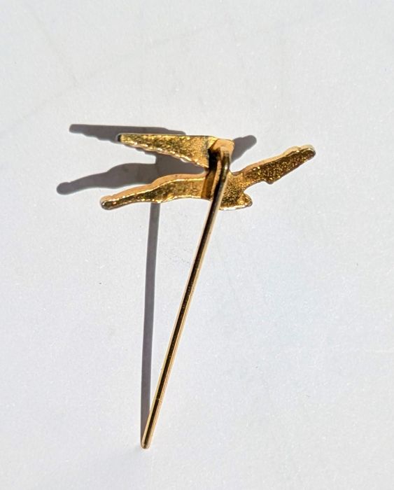 Alfinete lapela da companhia aviação South African Airways