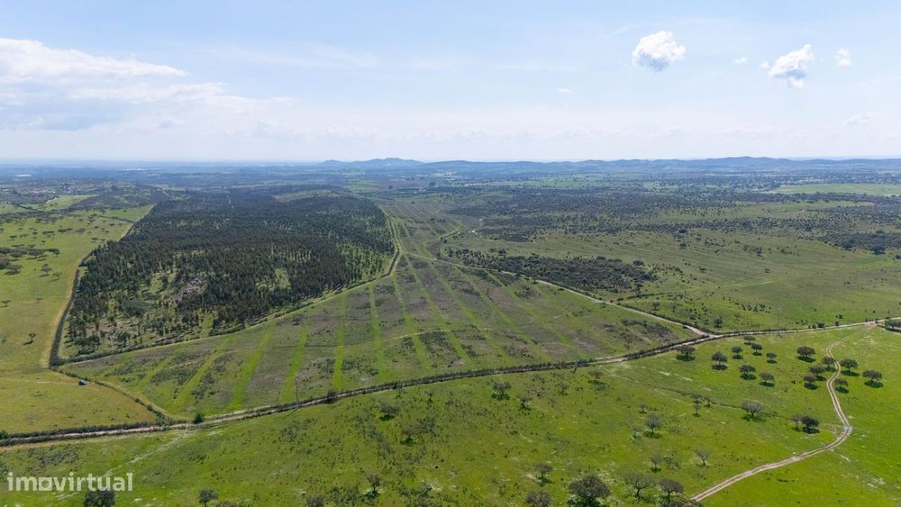 Herdade do Penedo Gordo – 15 Hectares de Elevado Potencial no Alentejo