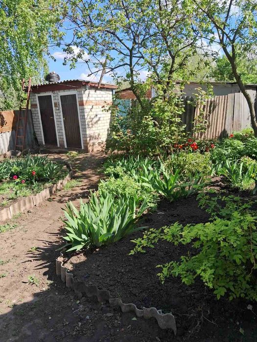 Продам будинок Вільшани/Ольшаны (Солоницевка ОТГ)