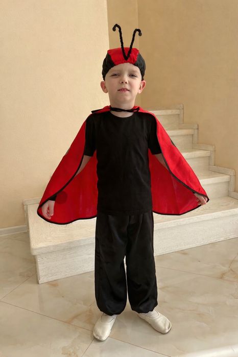 Костюм  жука Сонечко. Костюм Божої Корівки, Костюм Бедрика.