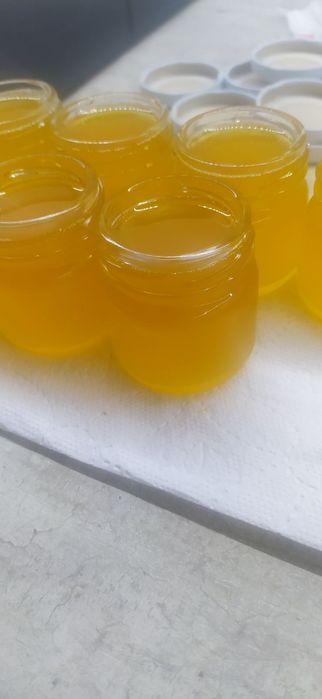 Maść z wrotyczu lecznicza