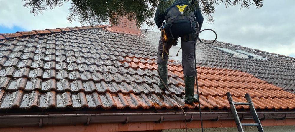 MALOWANIE DACHÓW  mycie i malowanie elewacji kostki brukowej